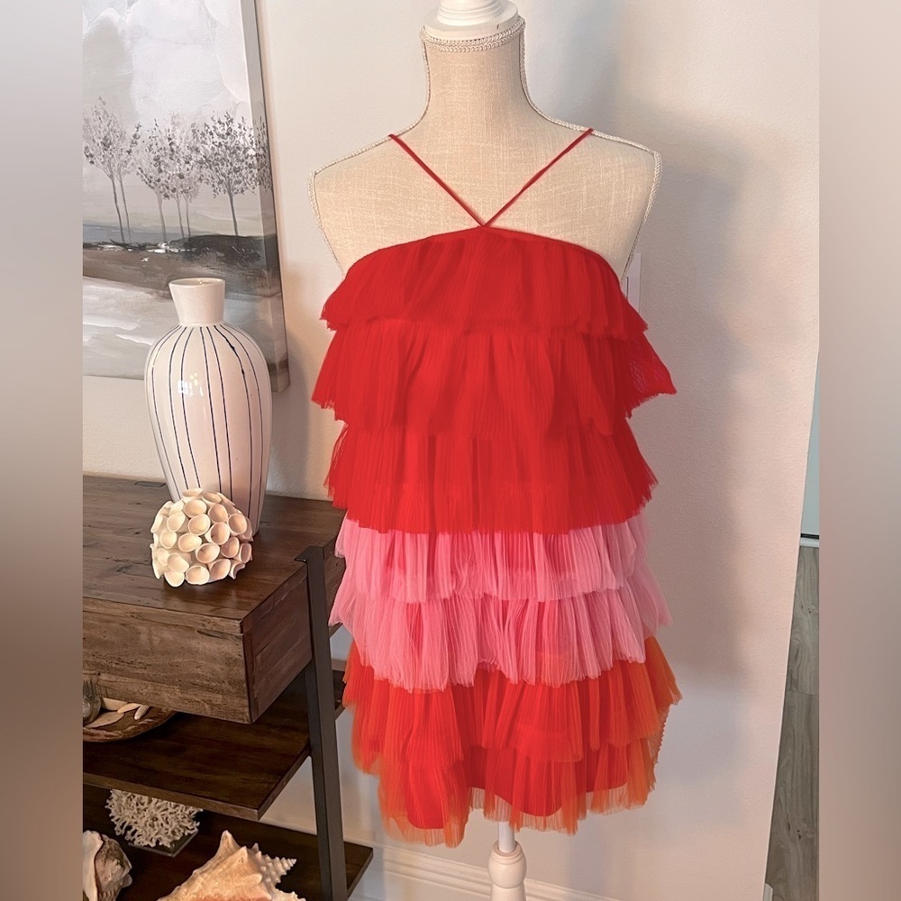 Cute TCEC tulle teired dress NWT